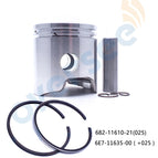 Piston Set