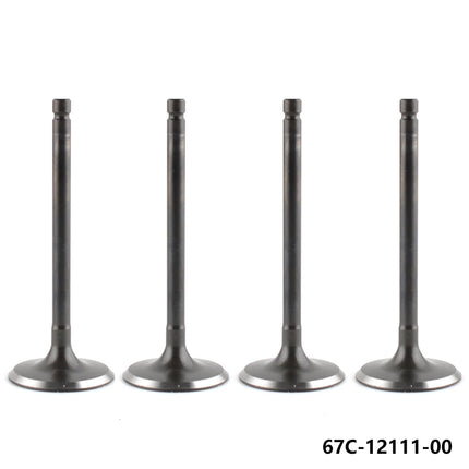 67C-12111 Intake Valve For Yamaha Parsun F20, F25, F30, F40, F50 (1995-08) 67C-12111-00 F25-05050001