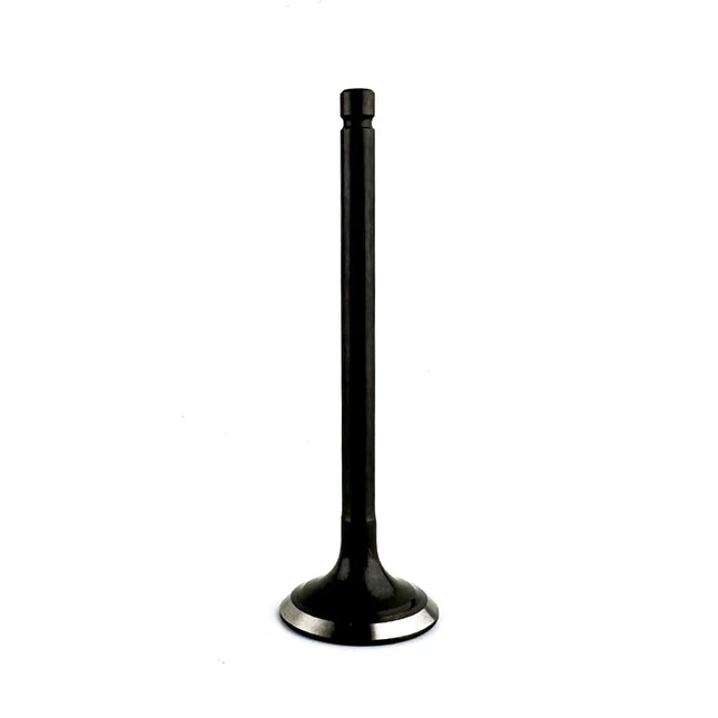 62Y-12121 Exhaust Valve for Yamaha 25HP 30HP 40HP 50HP 4 Stroke Outboard 1995-2008 Engine 62Y-12121-00-00